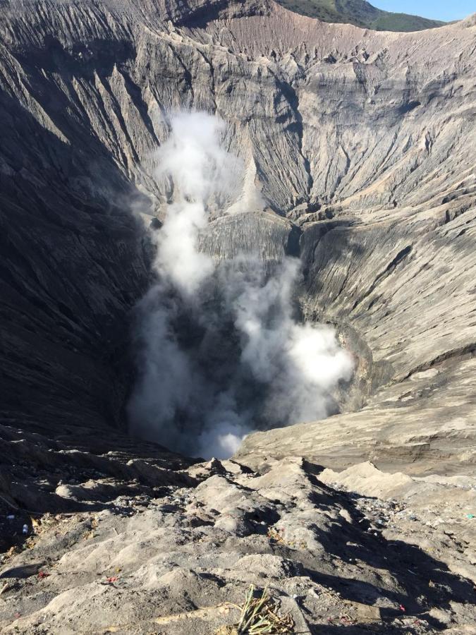 Апартаменти Bromo Tanjung Tosari Екстер'єр фото